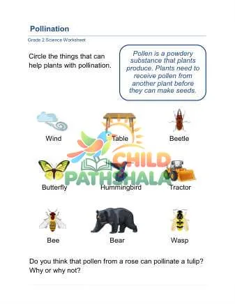 Preview of Pollination