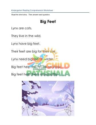 Preview of Reading Comprehension Story Big Feet
