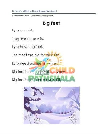 Preview of Reading Comprehension Story Big Feet