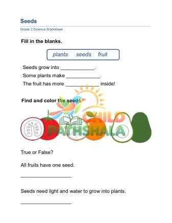 Preview of Seeds