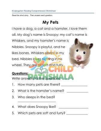 Preview of Reading Comprehension Story My Pets