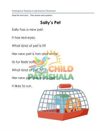 Preview of Reading Comprehension Story Sallys Pet