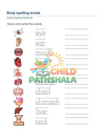 Preview of Trace Write Words