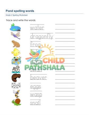 Trace Write Words