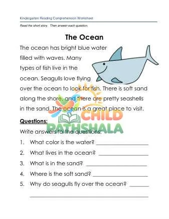Preview of Reading Comprehension Story The Ocean