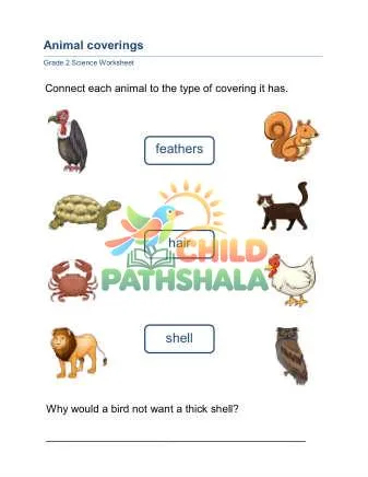 Preview of Animal Coverings