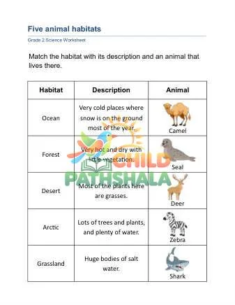 Preview of Animal Habitat