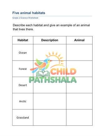 Animal Habitat B