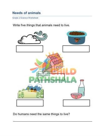 Preview of Animal Needs A