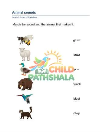 Preview of Animal Sounds