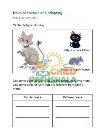 Preview of Animal Traits
