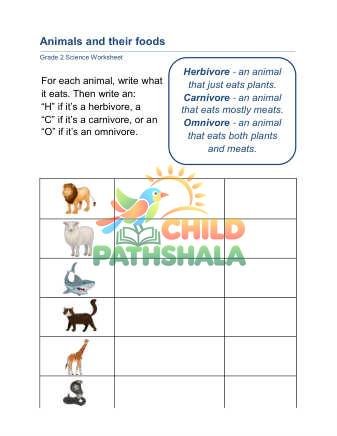 Animals Food A