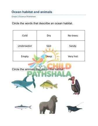Preview of Habitat