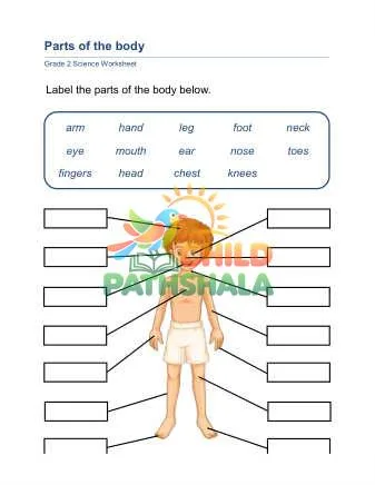 Preview of Parts Body