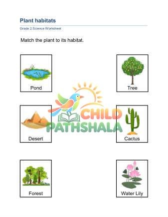 Plant Habitat A