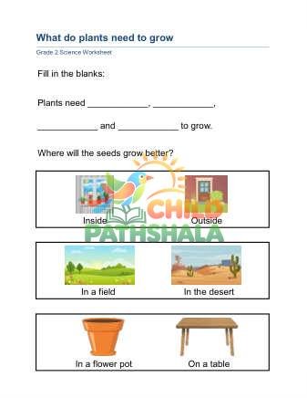 Preview of Plant Needs A