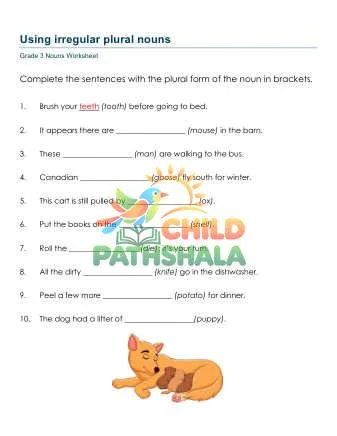 Preview of Irregular Plural Nouns