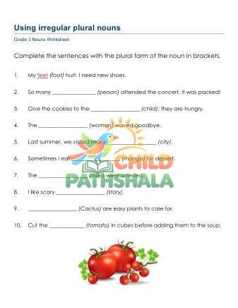 Preview of Irregular Plural Nouns B