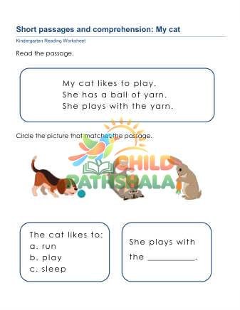 Preview of Short Passages Comprehension A