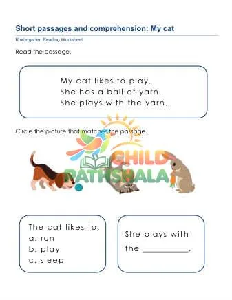 Preview of Short Passages Comprehension
