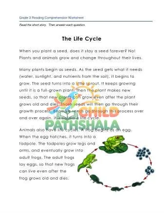 Preview of 3 Reading Life Cycle