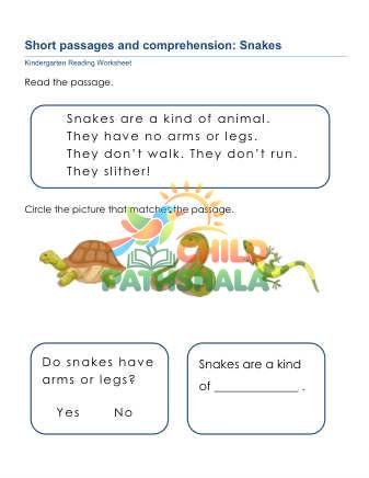 Preview of Short Passages Comprehension C