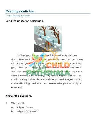 Preview of Reading Nonfiction Paragraphs Fov
