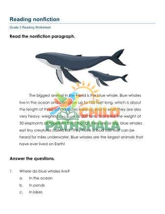 Preview of Reading Nonfiction Paragraphs