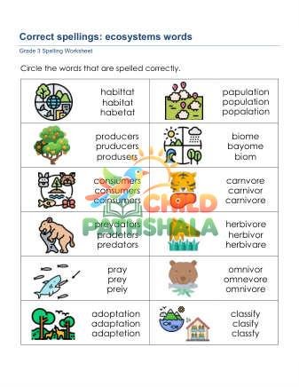 Correct Spelling Word Zgk