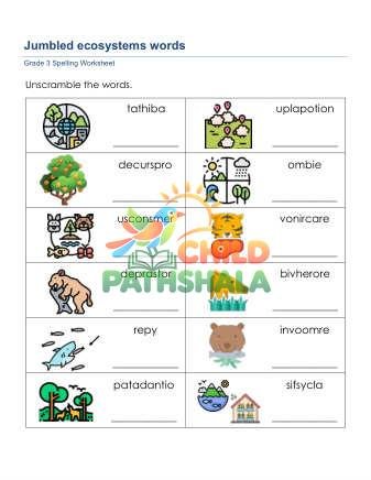 Preview of Jumbled Spelling Words Zwe