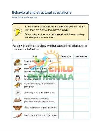 Preview of Behavioral Adaptations