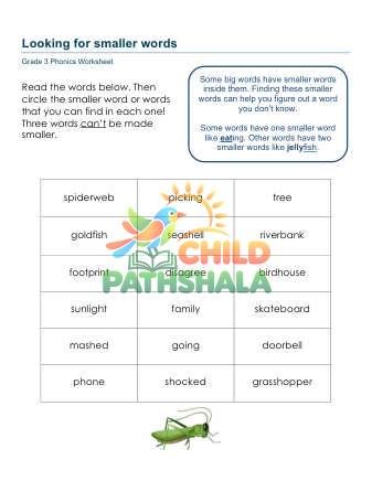 Preview of Deconstructing Words Jrs