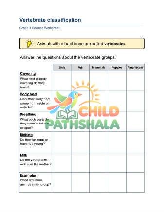 Animal Classification B