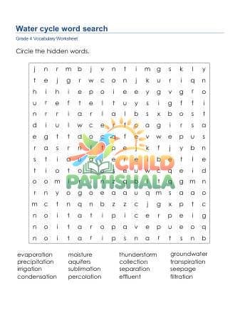 Preview of The Water Cycle Word Search
